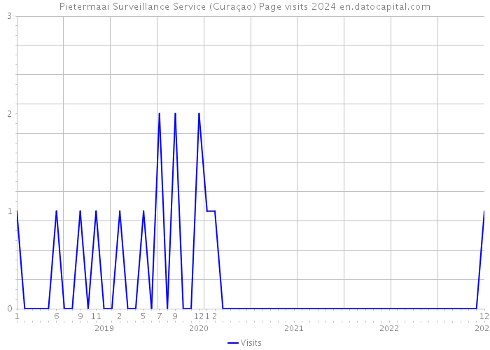 Pietermaai Surveillance Service (Curaçao) Page visits 2024 