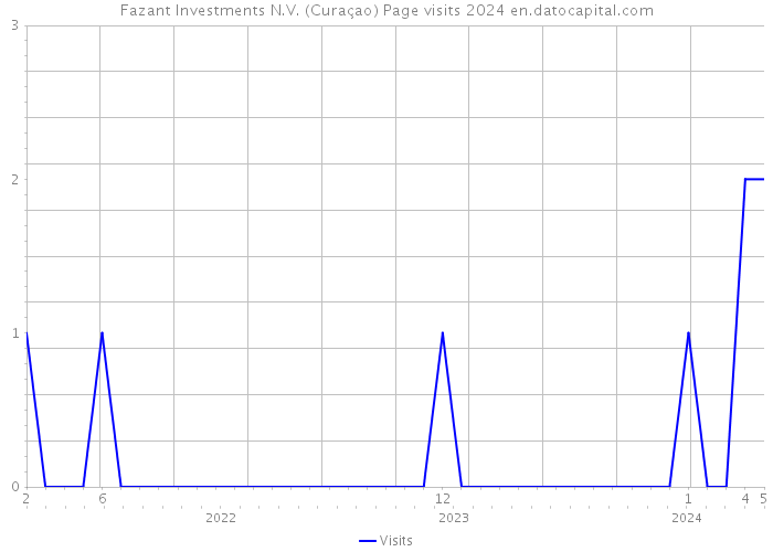 Fazant Investments N.V. (Curaçao) Page visits 2024 