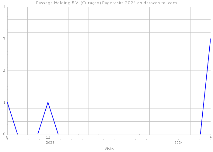 Passage Holding B.V. (Curaçao) Page visits 2024 