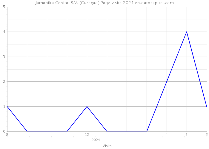 Jamanika Capital B.V. (Curaçao) Page visits 2024 