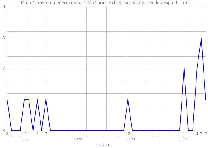 Multi Computing International N.V. (Curaçao) Page visits 2024 