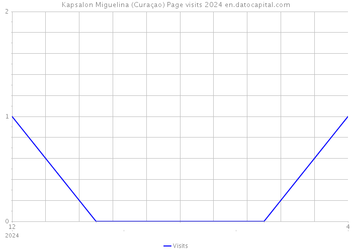 Kapsalon Miguelina (Curaçao) Page visits 2024 