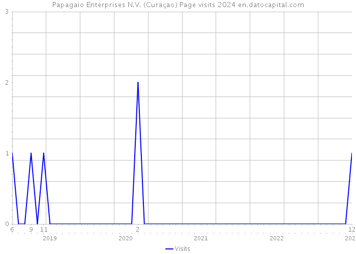 Papagaio Enterprises N.V. (Curaçao) Page visits 2024 