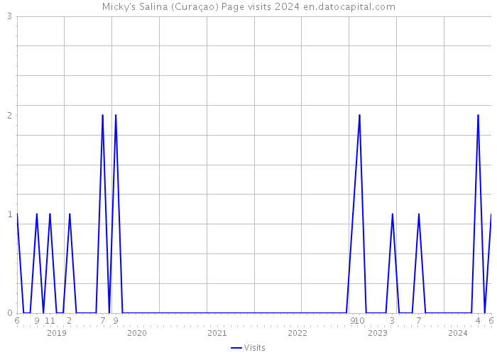Micky's Salina (Curaçao) Page visits 2024 