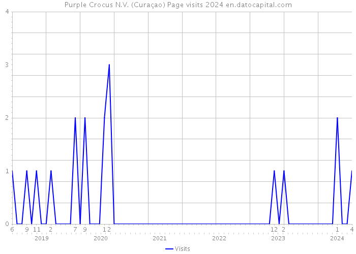 Purple Crocus N.V. (Curaçao) Page visits 2024 