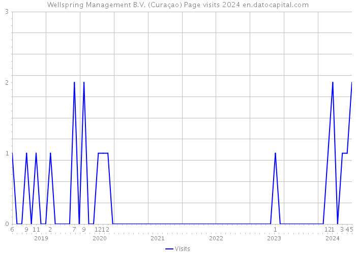 Wellspring Management B.V. (Curaçao) Page visits 2024 