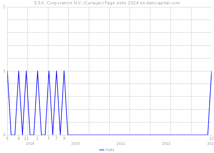 S.S.K. Corporation N.V. (Curaçao) Page visits 2024 