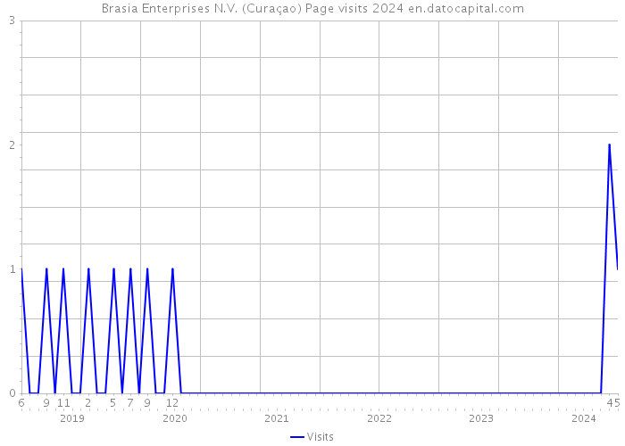 Brasia Enterprises N.V. (Curaçao) Page visits 2024 