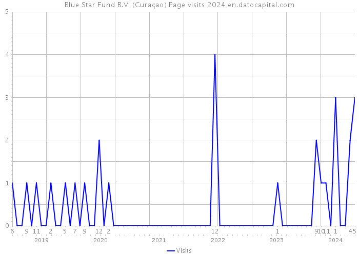 Blue Star Fund B.V. (Curaçao) Page visits 2024 