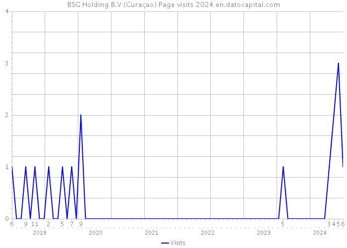 BSG Holding B.V (Curaçao) Page visits 2024 