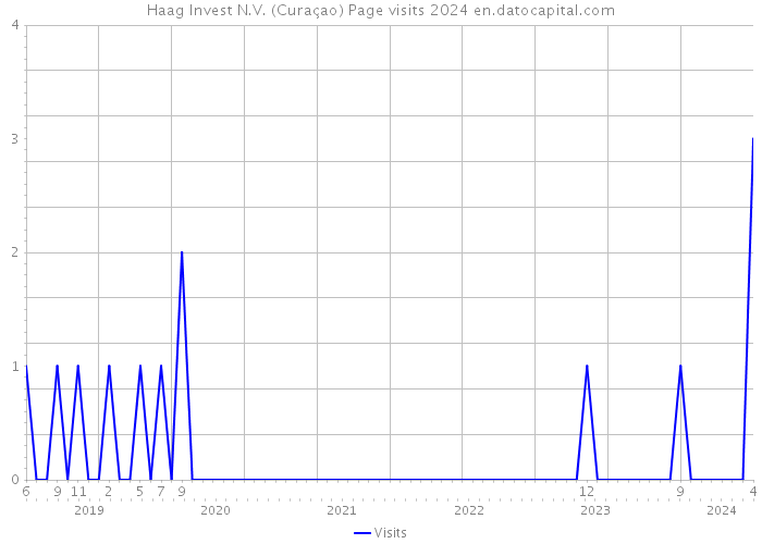 Haag Invest N.V. (Curaçao) Page visits 2024 