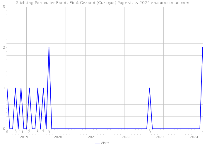 Stichting Particulier Fonds Fit & Gezond (Curaçao) Page visits 2024 