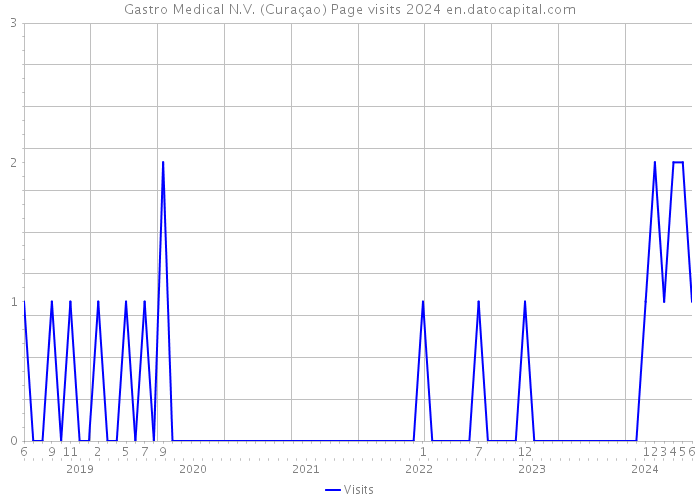 Gastro Medical N.V. (Curaçao) Page visits 2024 