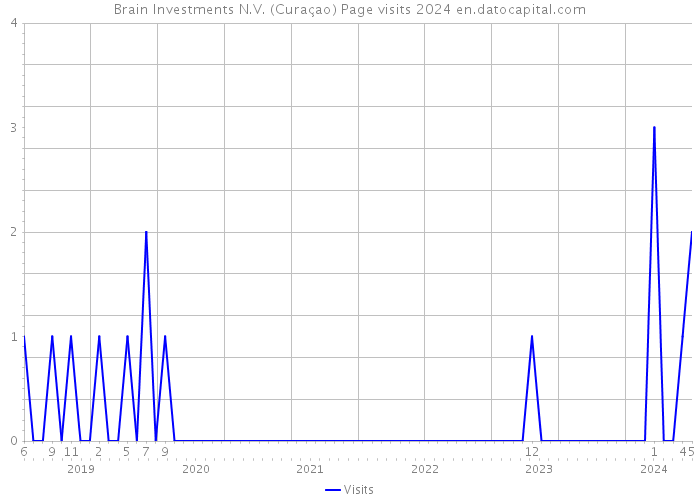 Brain Investments N.V. (Curaçao) Page visits 2024 