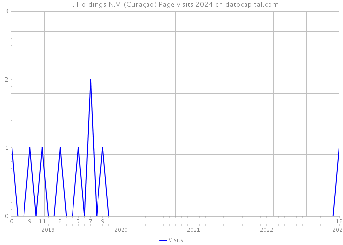 T.I. Holdings N.V. (Curaçao) Page visits 2024 