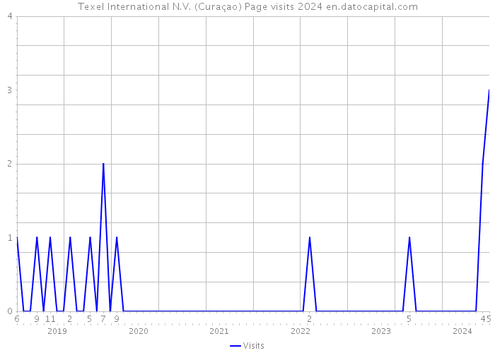 Texel International N.V. (Curaçao) Page visits 2024 