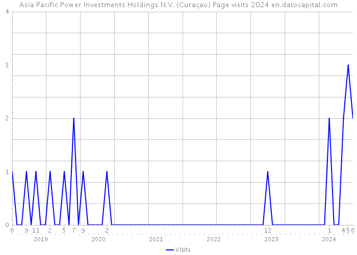 Asia Pacific Power Investments Holdings N.V. (Curaçao) Page visits 2024 