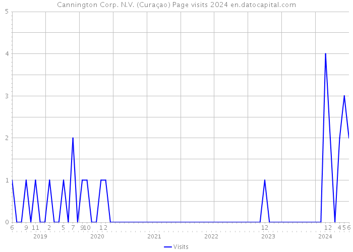Cannington Corp. N.V. (Curaçao) Page visits 2024 