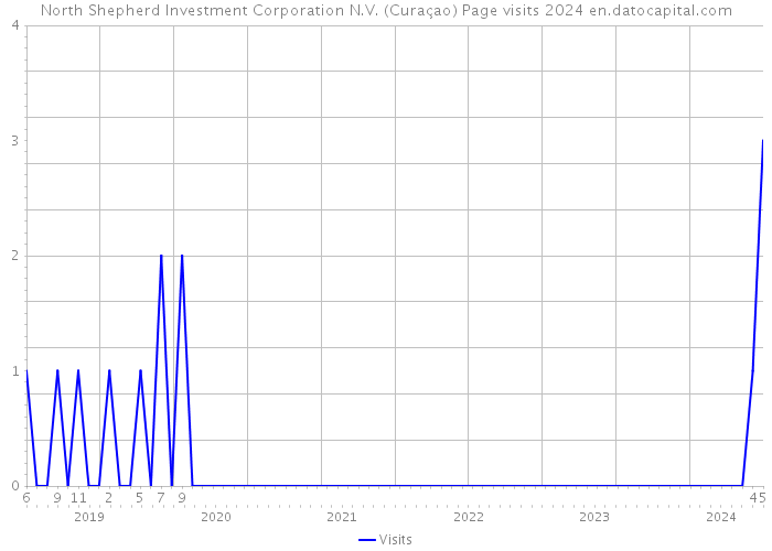 North Shepherd Investment Corporation N.V. (Curaçao) Page visits 2024 