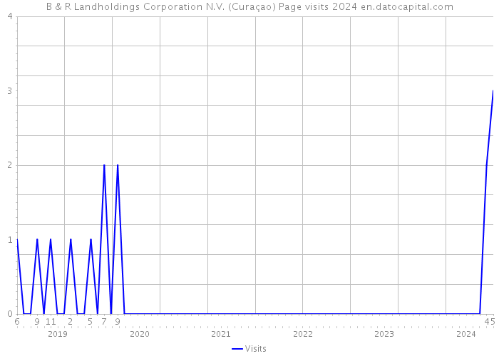 B & R Landholdings Corporation N.V. (Curaçao) Page visits 2024 