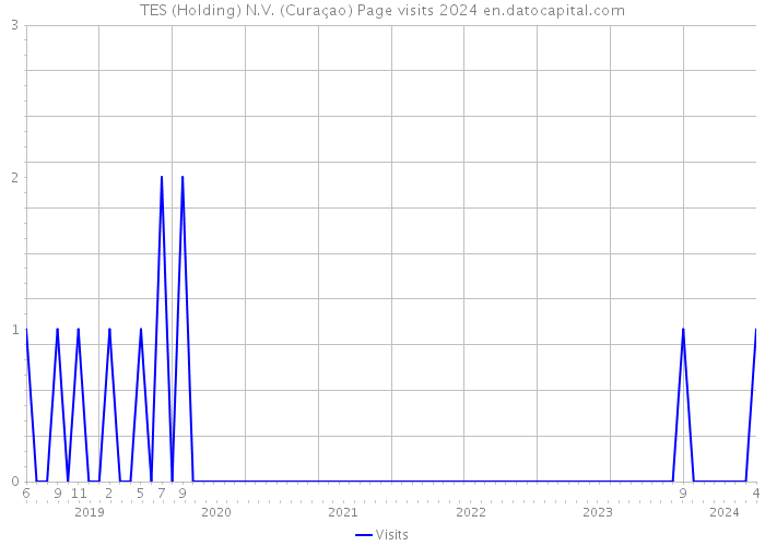 TES (Holding) N.V. (Curaçao) Page visits 2024 