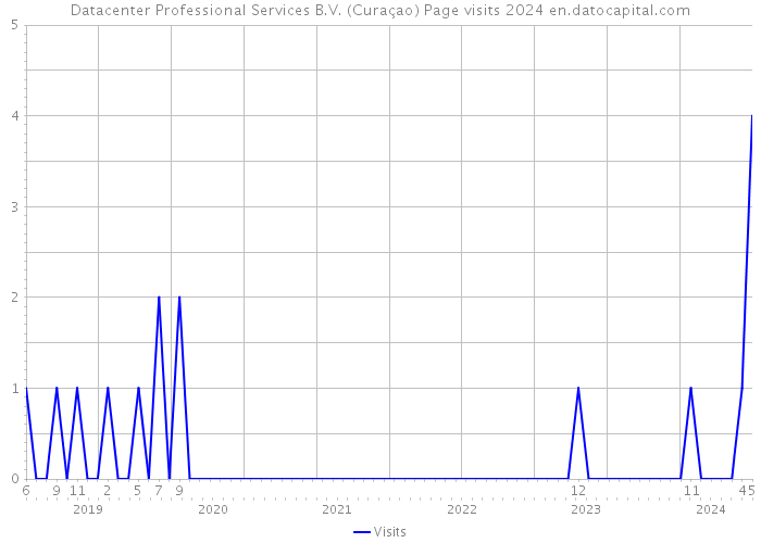 Datacenter Professional Services B.V. (Curaçao) Page visits 2024 