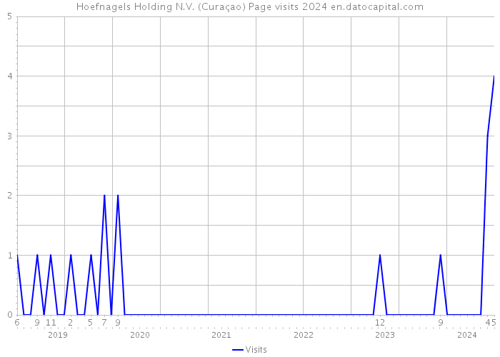 Hoefnagels Holding N.V. (Curaçao) Page visits 2024 