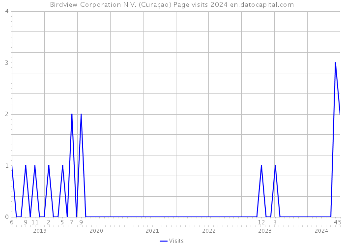 Birdview Corporation N.V. (Curaçao) Page visits 2024 