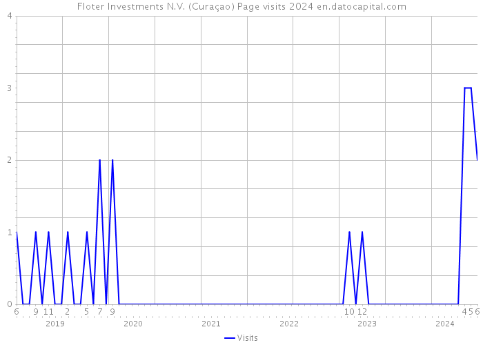 Floter Investments N.V. (Curaçao) Page visits 2024 