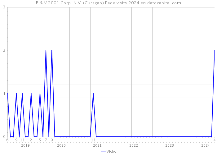 B & V 2001 Corp. N.V. (Curaçao) Page visits 2024 