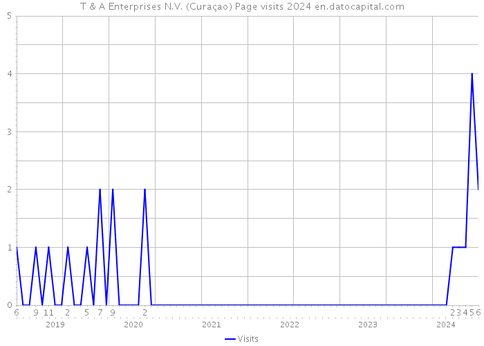 T & A Enterprises N.V. (Curaçao) Page visits 2024 