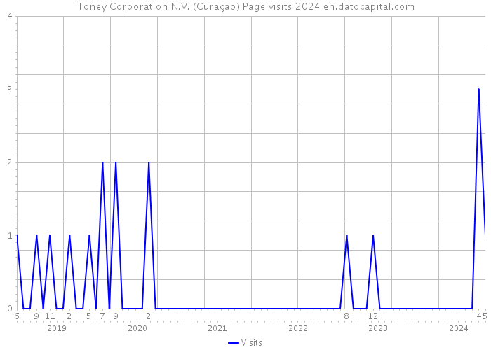 Toney Corporation N.V. (Curaçao) Page visits 2024 
