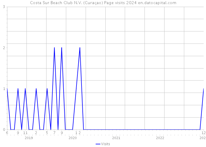 Costa Sur Beach Club N.V. (Curaçao) Page visits 2024 
