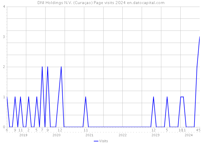 DNI Holdings N.V. (Curaçao) Page visits 2024 