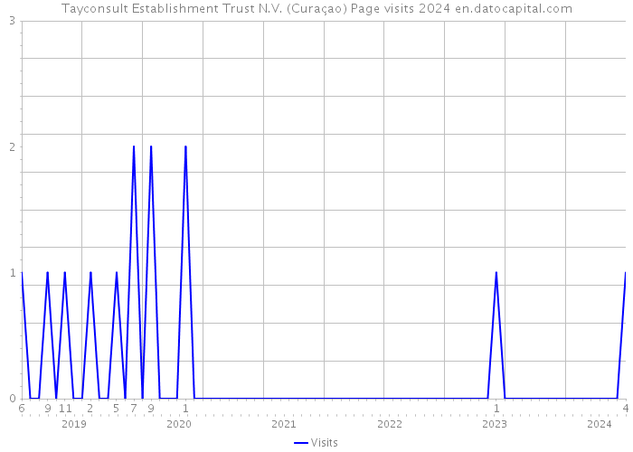 Tayconsult Establishment Trust N.V. (Curaçao) Page visits 2024 
