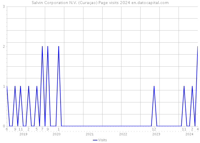 Salvin Corporation N.V. (Curaçao) Page visits 2024 