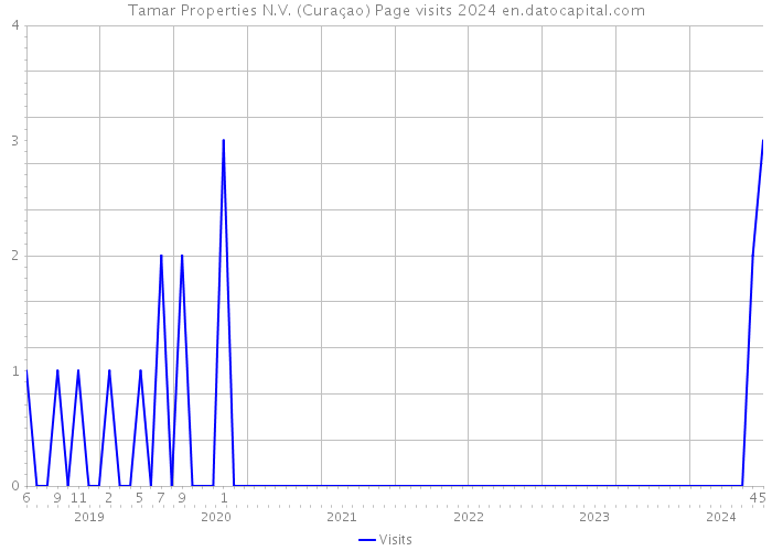 Tamar Properties N.V. (Curaçao) Page visits 2024 