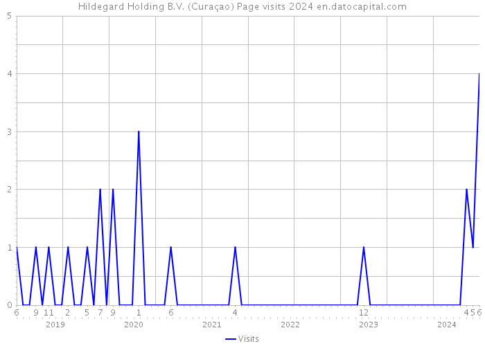Hildegard Holding B.V. (Curaçao) Page visits 2024 