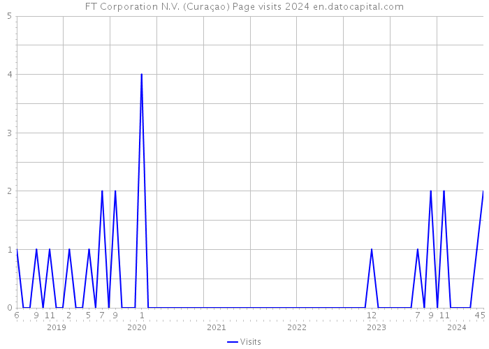 FT Corporation N.V. (Curaçao) Page visits 2024 