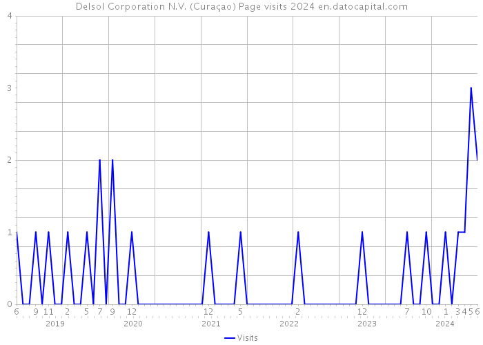 Delsol Corporation N.V. (Curaçao) Page visits 2024 