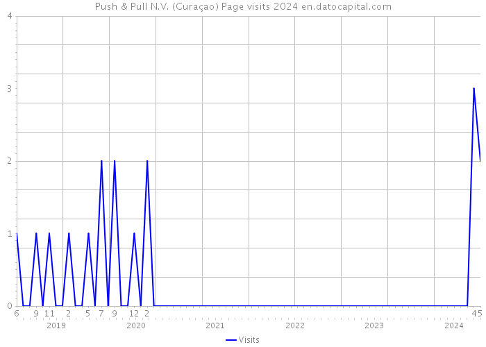 Push & Pull N.V. (Curaçao) Page visits 2024 