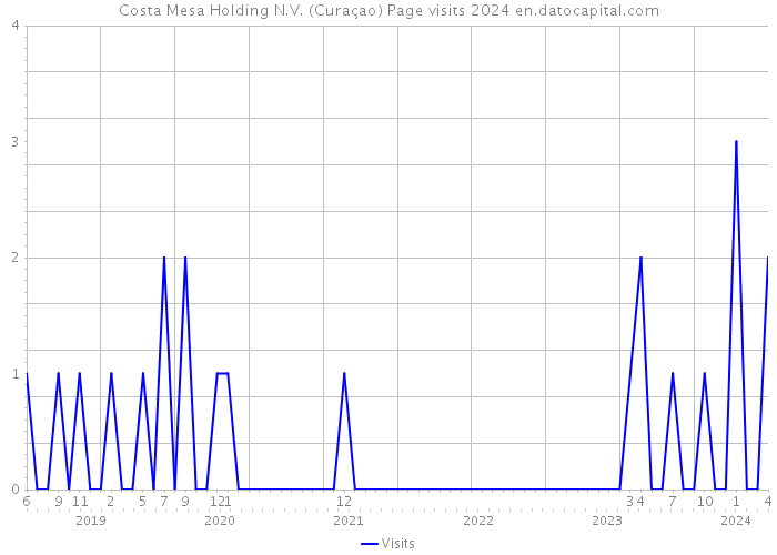 Costa Mesa Holding N.V. (Curaçao) Page visits 2024 