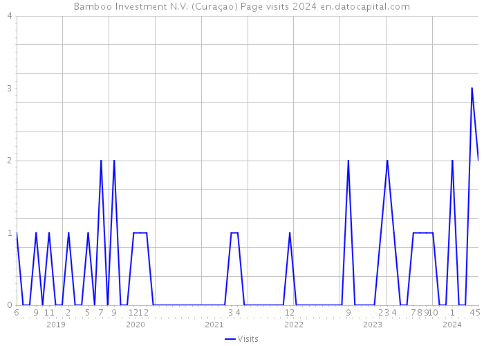 Bamboo Investment N.V. (Curaçao) Page visits 2024 