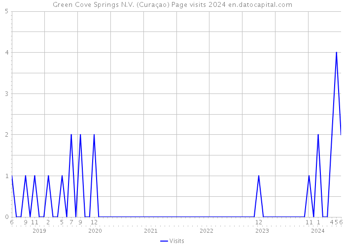 Green Cove Springs N.V. (Curaçao) Page visits 2024 