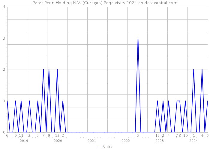 Peter Penn Holding N.V. (Curaçao) Page visits 2024 