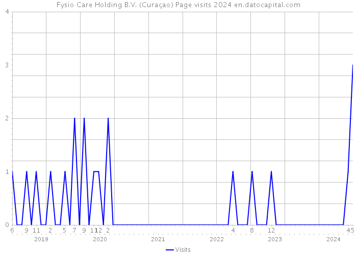 Fysio Care Holding B.V. (Curaçao) Page visits 2024 