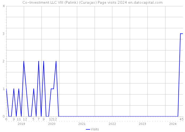 Co-Investment LLC VIII (Palink) (Curaçao) Page visits 2024 
