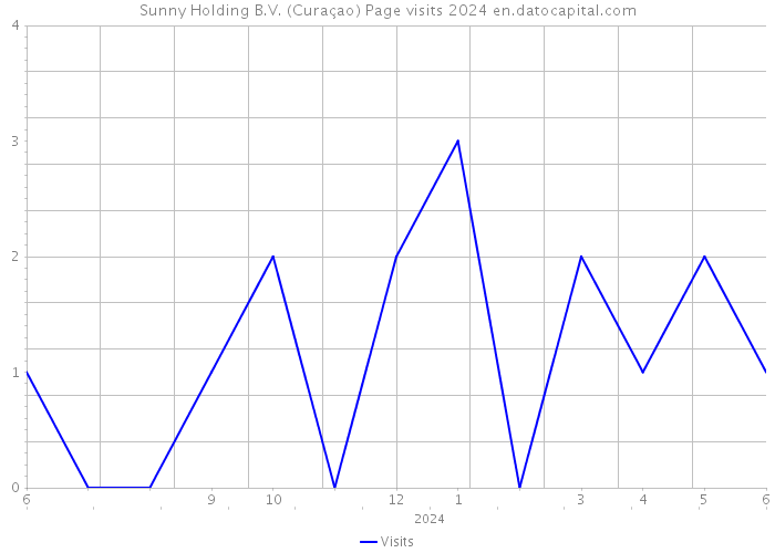 Sunny Holding B.V. (Curaçao) Page visits 2024 