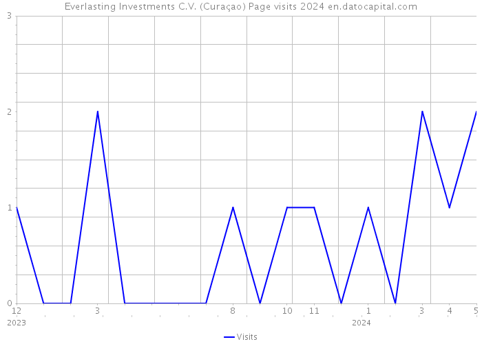 Everlasting Investments C.V. (Curaçao) Page visits 2024 