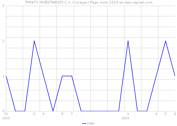 TRINITY INVESTMENTS C.V. (Curaçao) Page visits 2024 